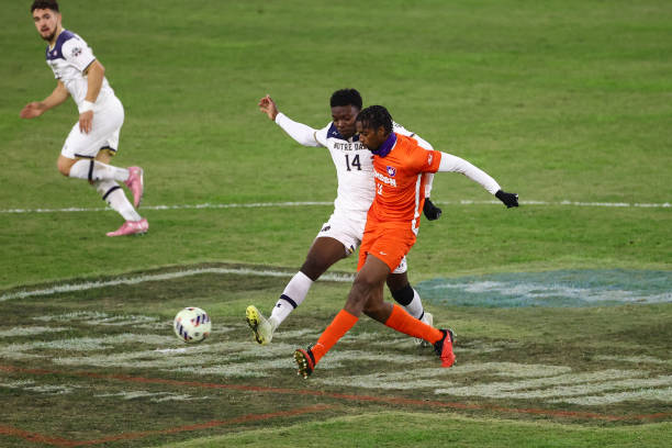 主导地位的 主导地位的