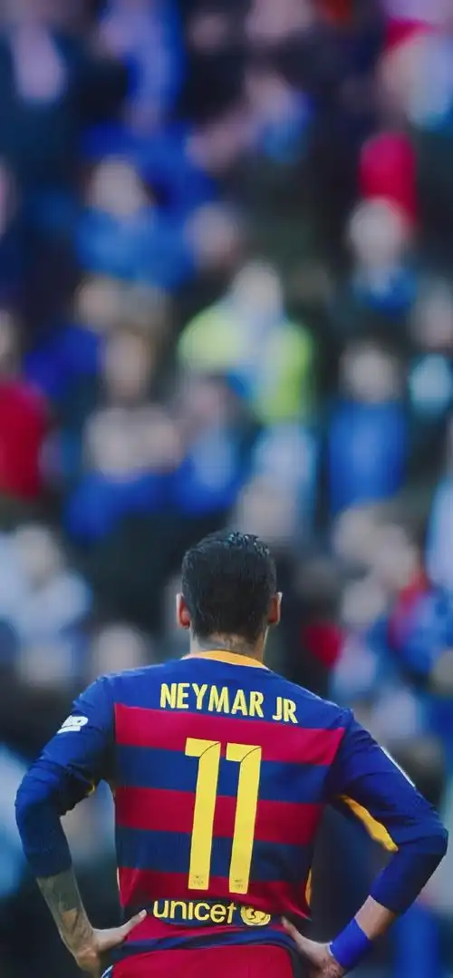 宣布对迪马 宣布对迪马