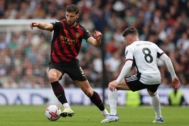 国米球迷用 国米球迷用